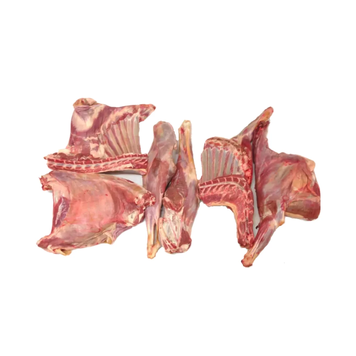 Baby Goat 6 Way Under 26 Fzn