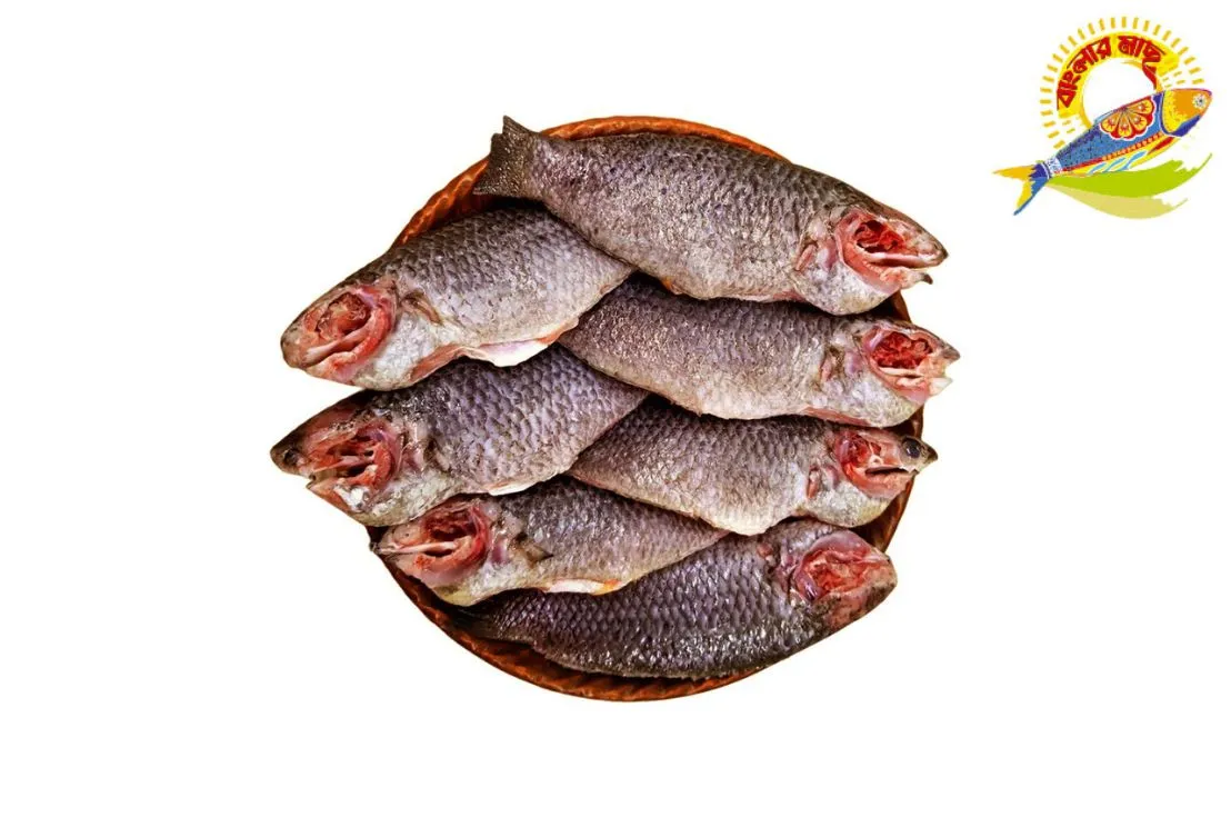 Clean Koi (8-12) Pcs/Kg - (10-12) Pcs/Kg