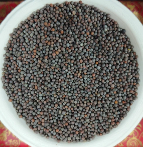 Mustard Seeds Bold - 5 Lbs