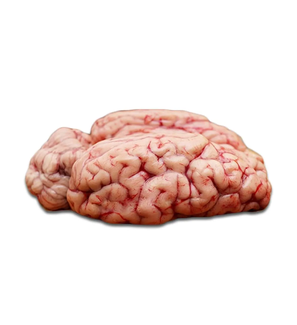 Beef Brain Fzn