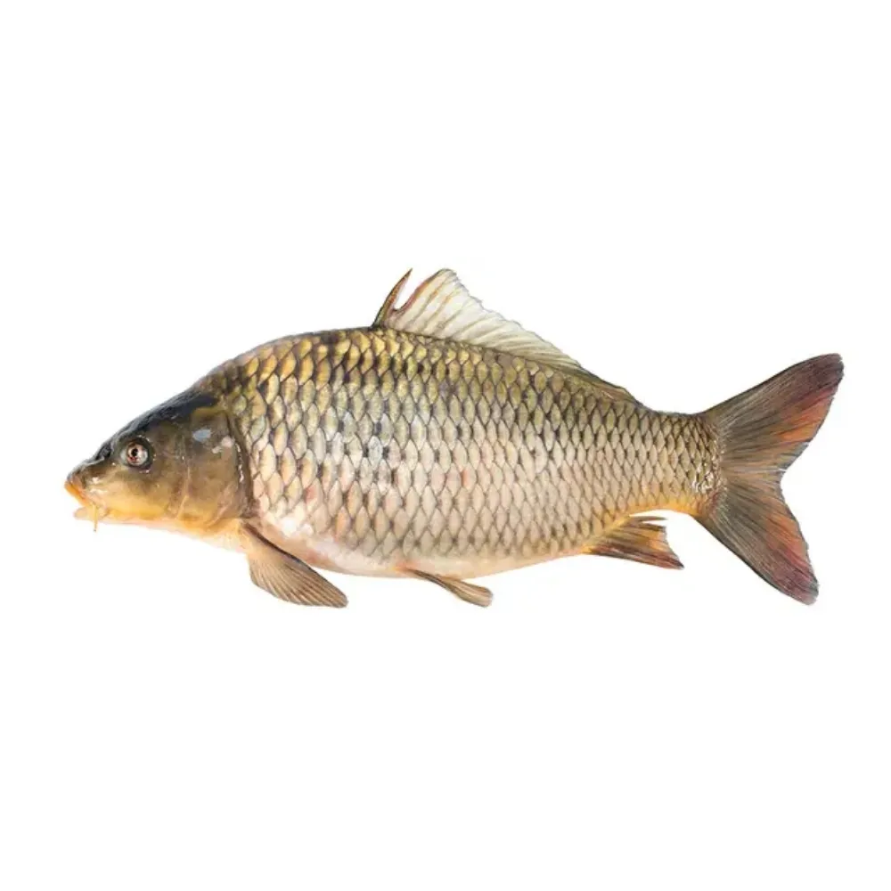 Carfu Fish Banglar Maach