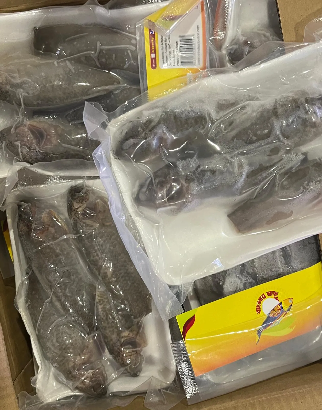 Koi Clean (10-12pcs/Kg)