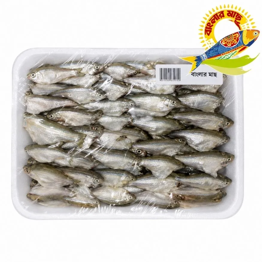 Mola Fish Clean (5-7cm/Pc) 275gm(5.5kg) Banglar Maach - 250gm