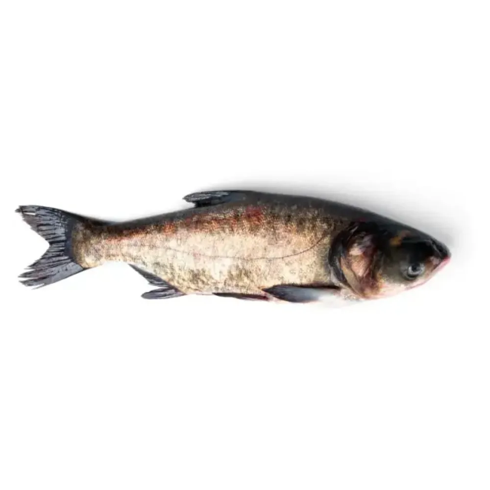 Silver Carb (Big Head)