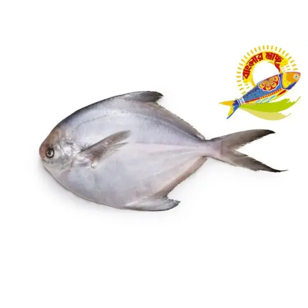 Silver Pomfret 100gm-300gm - 200-300gm
