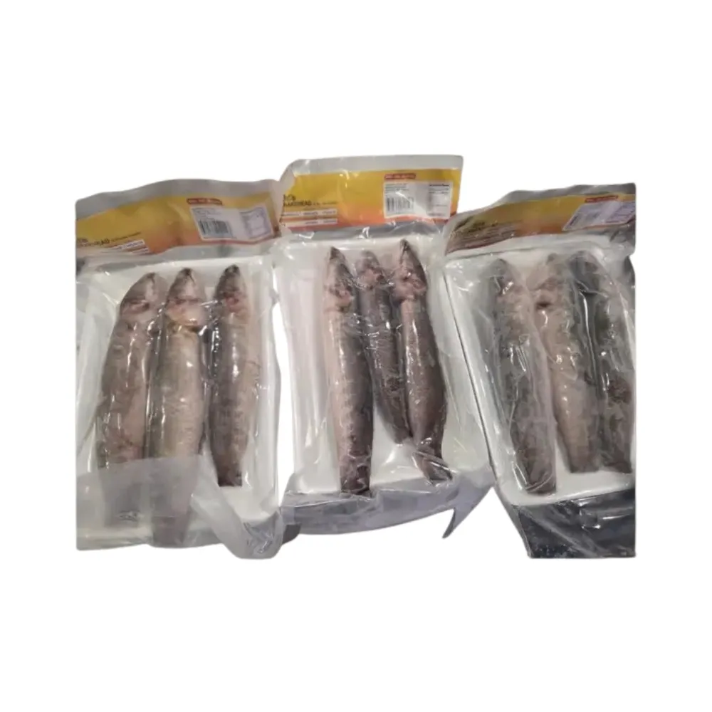 Snakehead Fish